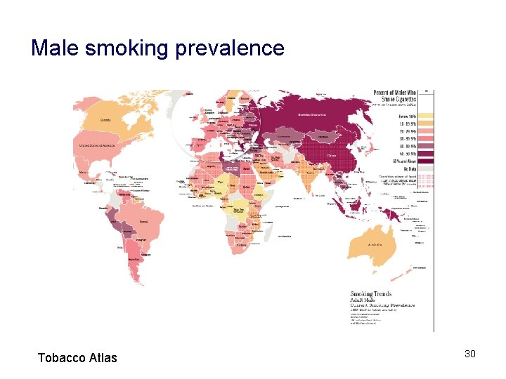 Male smoking prevalence Tobacco Atlas 30 