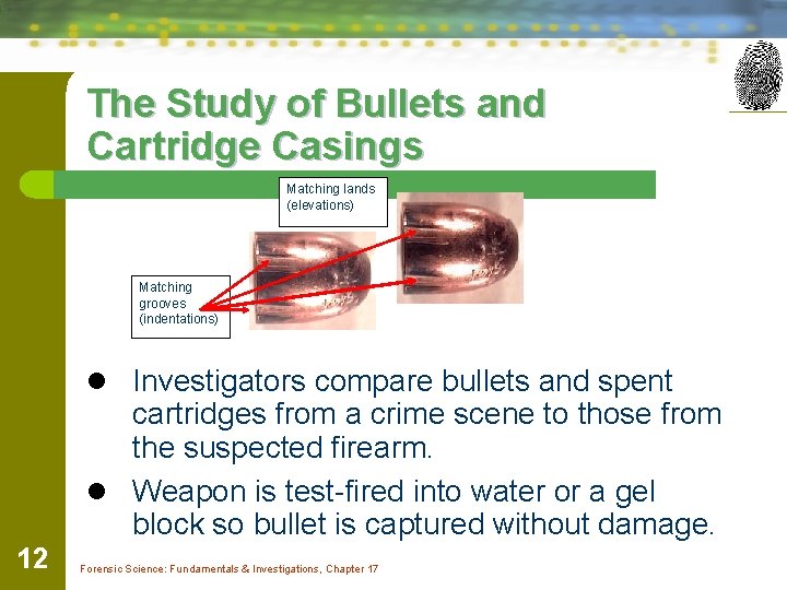 The Study of Bullets and Cartridge Casings Matching lands (elevations) Matching grooves (indentations) l
