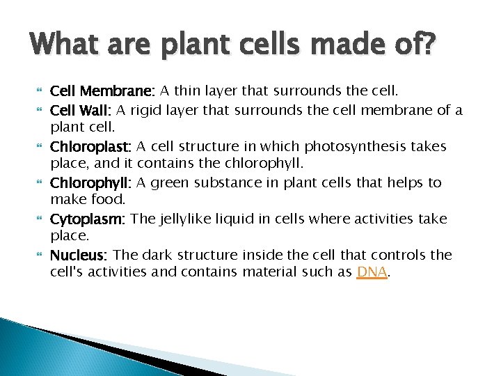 What are plant cells made of? Cell Membrane: A thin layer that surrounds the