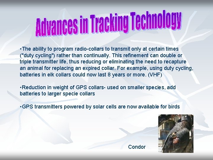  • The ability to program radio-collars to transmit only at certain times ("duty