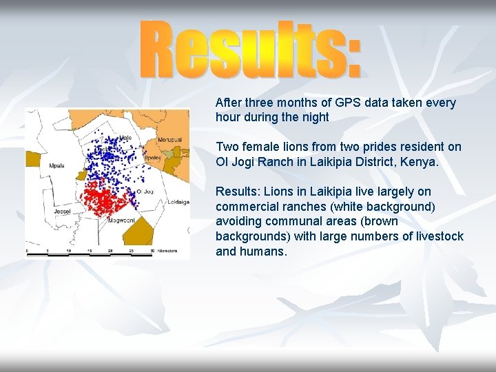 After three months of GPS data taken every hour during the night Two female