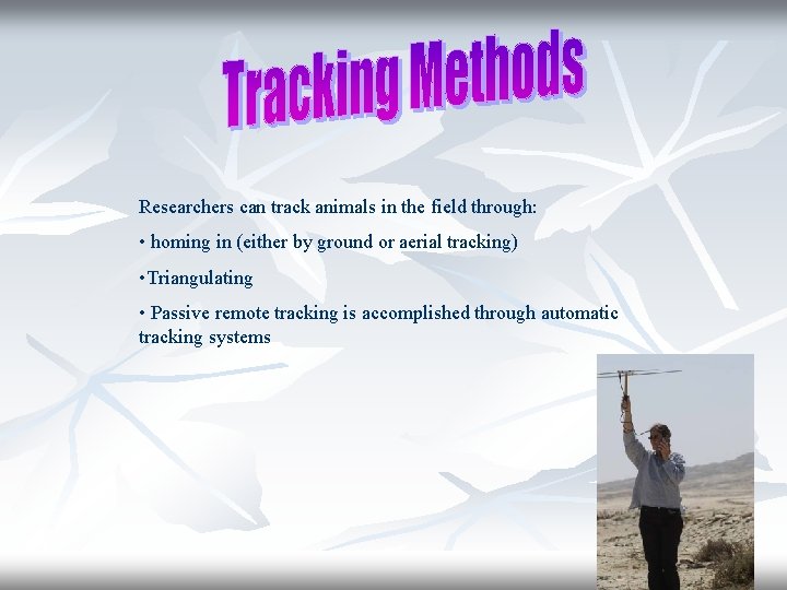 Researchers can track animals in the field through: • homing in (either by ground