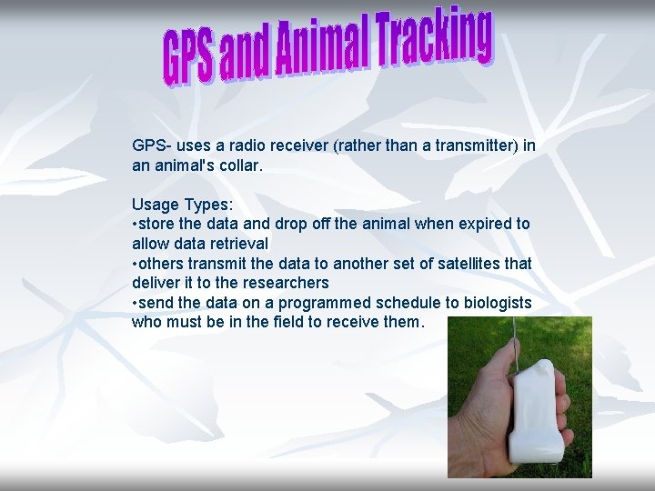 GPS- uses a radio receiver (rather than a transmitter) in an animal's collar. Usage