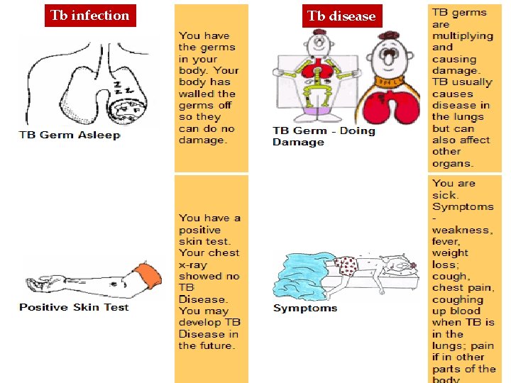 Tb infection Tb disease 