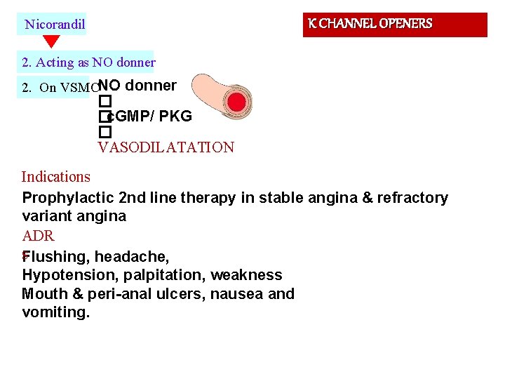 K CHANNEL OPENERS Nicorandil 2. Acting as NO donner 2. On VSMCNO donner �