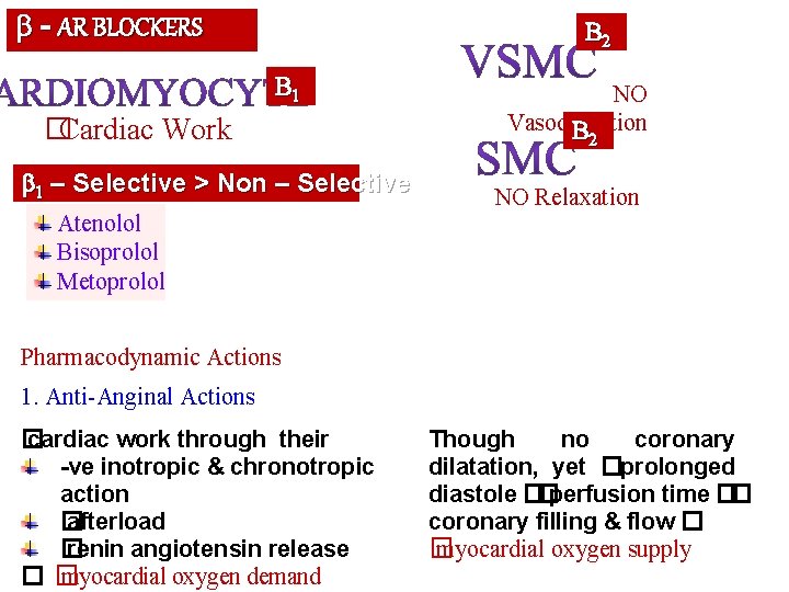  - AR BLOCKERS B 2 B 1 �Cardiac Work 1 – Selective >