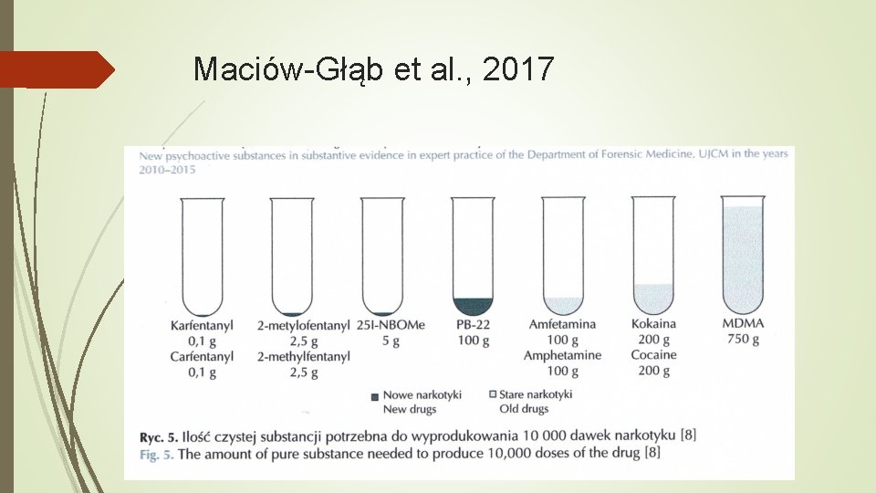 Maciów-Głąb et al. , 2017 