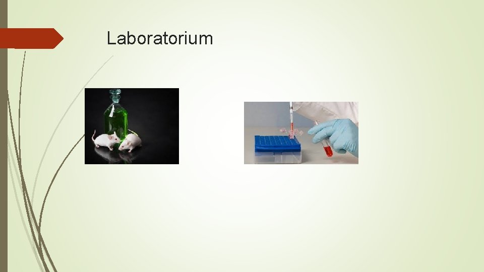 Laboratorium 