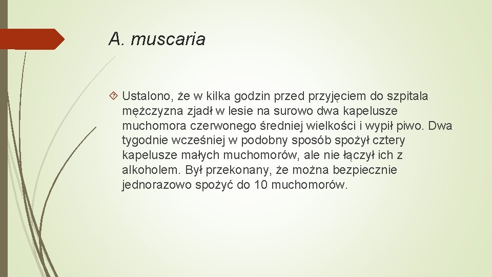 A. muscaria Ustalono, że w kilka godzin przed przyjęciem do szpitala mężczyzna zjadł w