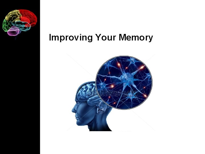 Improving Your Memory 