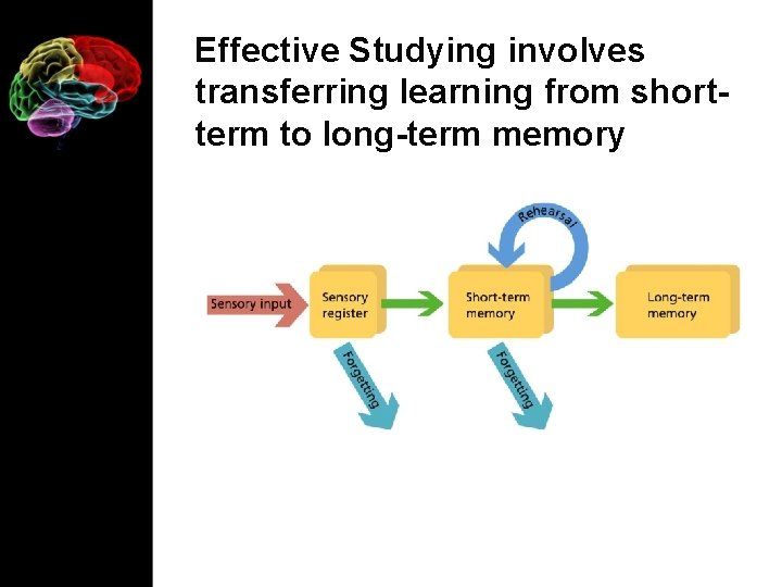 Effective Studying involves transferring learning from shortterm to long-term memory 
