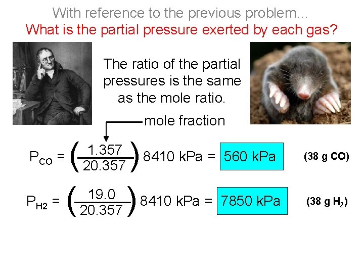 With reference to the previous problem… What is the partial pressure exerted by each