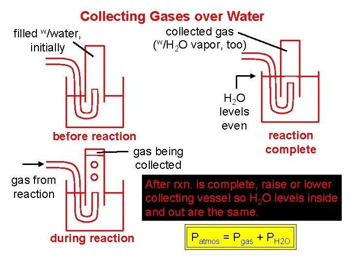 Collecting Gases over Water filled w/water, initially collected gas (w/H 2 O vapor, too)