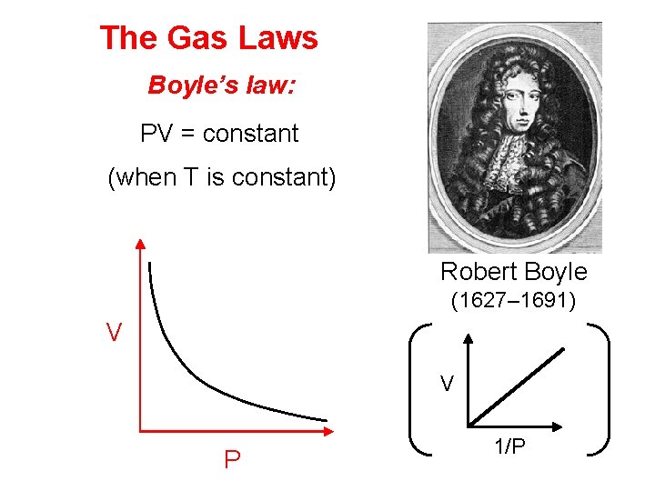The Gas Laws Boyle’s law: PV = constant (when T is constant) Robert Boyle