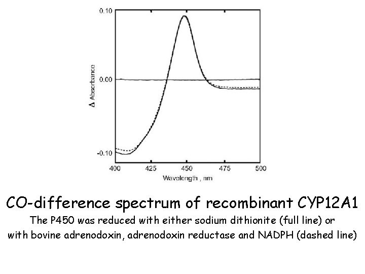 CO-difference spectrum of recombinant CYP 12 A 1 The P 450 was reduced with