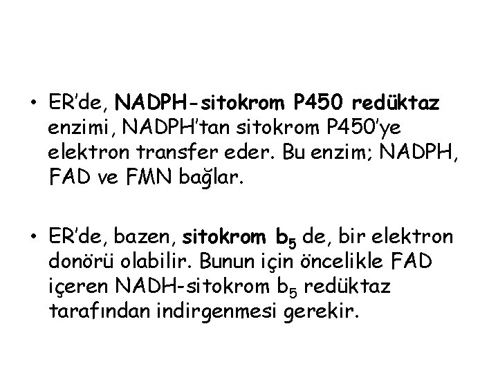 • ER’de, NADPH-sitokrom P 450 redüktaz enzimi, NADPH’tan sitokrom P 450’ye elektron transfer