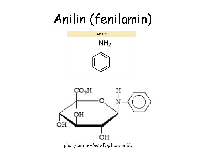 Anilin (fenilamin) 