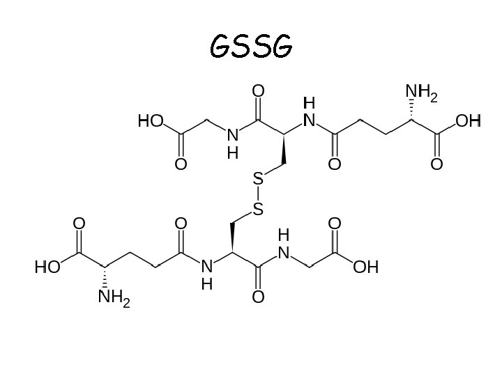 GSSG 