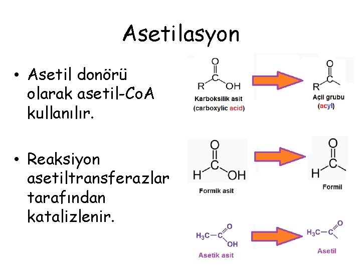 Asetilasyon • Asetil donörü olarak asetil-Co. A kullanılır. • Reaksiyon asetiltransferazlar tarafından katalizlenir. 