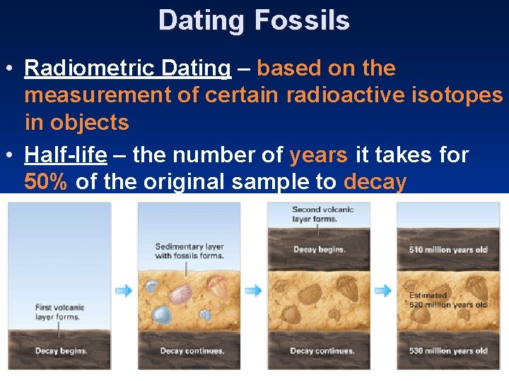 Dating Fossils • Radiometric Dating – based on the measurement of certain radioactive isotopes