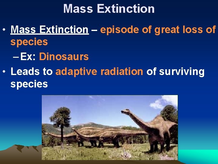 Mass Extinction • Mass Extinction – episode of great loss of species – Ex: