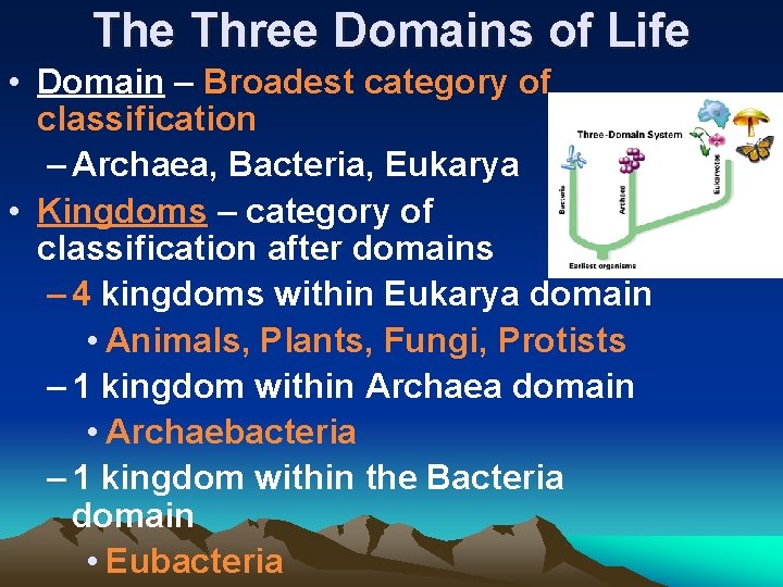 The Three Domains of Life • Domain – Broadest category of classification – Archaea,