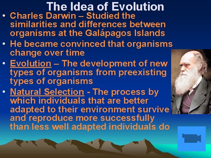 The Idea of Evolution • Charles Darwin – Studied the similarities and differences between
