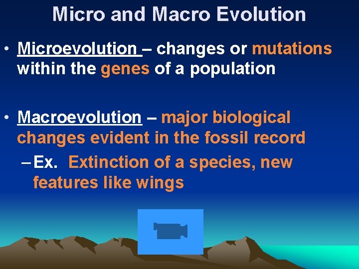 Micro and Macro Evolution • Microevolution – changes or mutations within the genes of