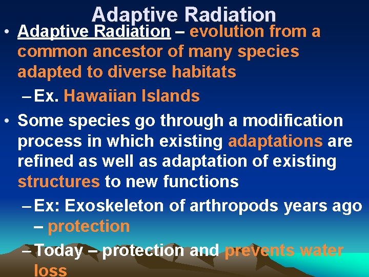 Adaptive Radiation • Adaptive Radiation – evolution from a common ancestor of many species