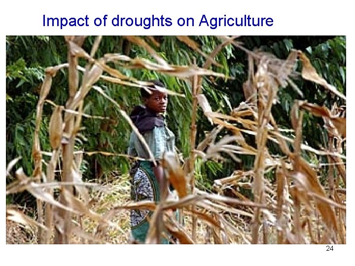 Impact of droughts on Agriculture 24 