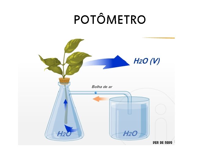 POTÔMETRO 