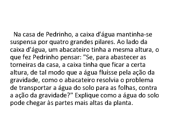  Na casa de Pedrinho, a caixa d'água mantinha-se suspensa por quatro grandes pilares.