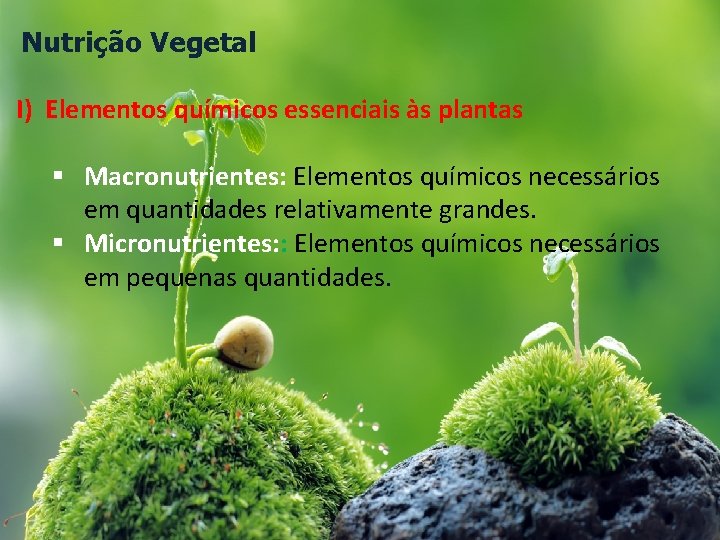 Nutrição Vegetal I) Elementos químicos essenciais às plantas § Macronutrientes: Elementos químicos necessários em