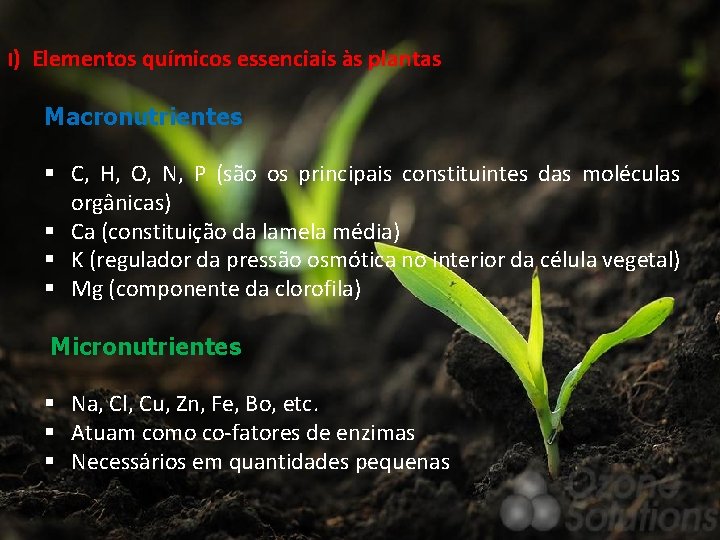 I) Elementos químicos essenciais às plantas Macronutrientes § C, H, O, N, P (são