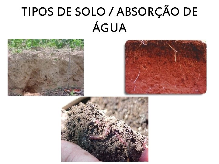 TIPOS DE SOLO / ABSORÇÃO DE ÁGUA 