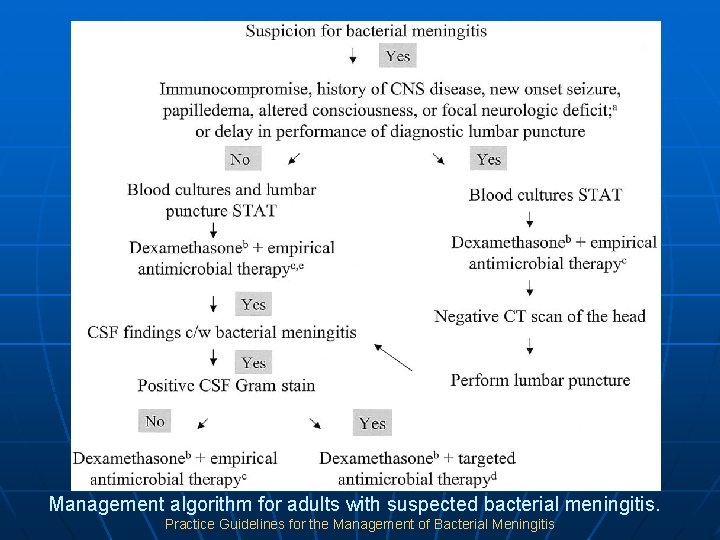 Management algorithm for adults with suspected bacterial meningitis. Practice Guidelines for the Management of