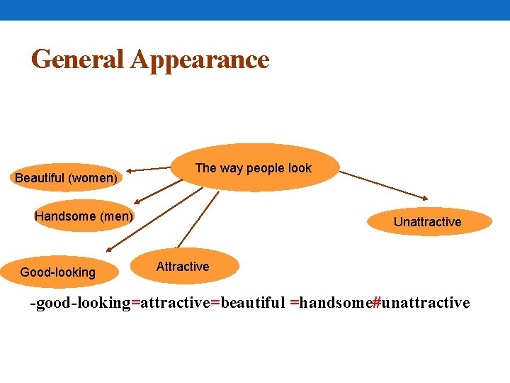 General Appearance Beautiful (women) The way people look Handsome (men) Good-looking Unattractive Attractive -good-looking=attractive=beautiful