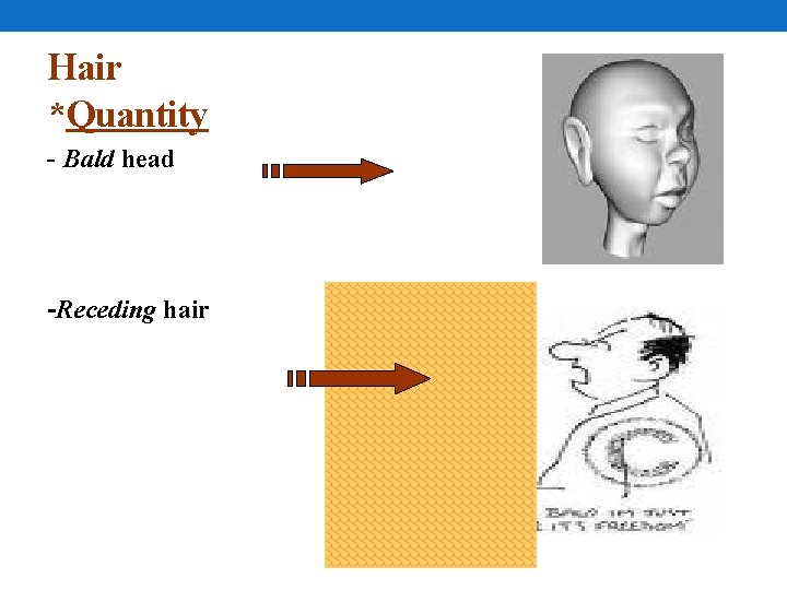 Hair *Quantity - Bald head -Receding hair Hair *Quantity - Bald head -Receding hair