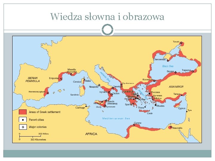 Wiedza słowna i obrazowa 