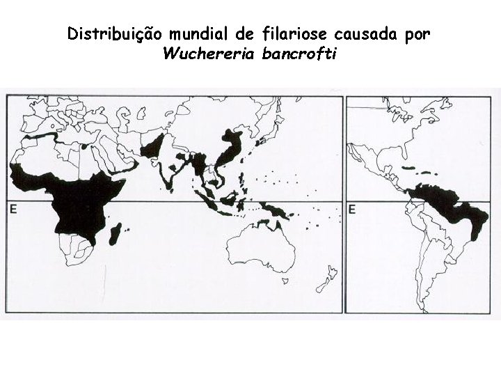 Distribuição mundial de filariose causada por Wuchereria bancrofti 