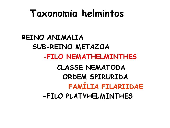 Taxonomia helmintos REINO ANIMALIA SUB-REINO METAZOA -FILO NEMATHELMINTHES CLASSE NEMATODA ORDEM SPIRURIDA FAMÍLIA FILARIIDAE