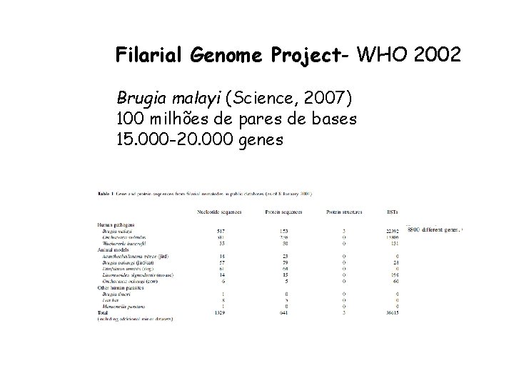 Filarial Genome Project- WHO 2002 Brugia malayi (Science, 2007) 100 milhões de pares de