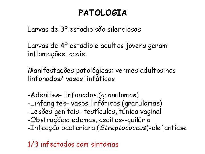 PATOLOGIA Larvas de 3º estadio são silenciosas Larvas de 4º estadio e adultos jovens