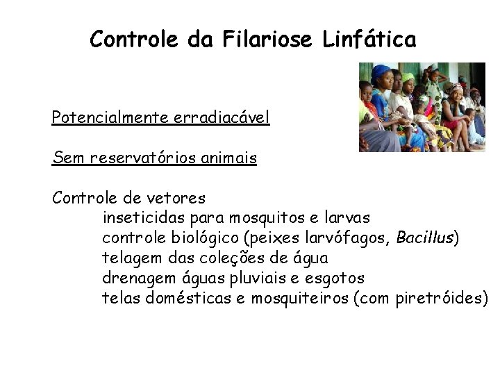 Controle da Filariose Linfática Potencialmente erradiacável Sem reservatórios animais Controle de vetores inseticidas para