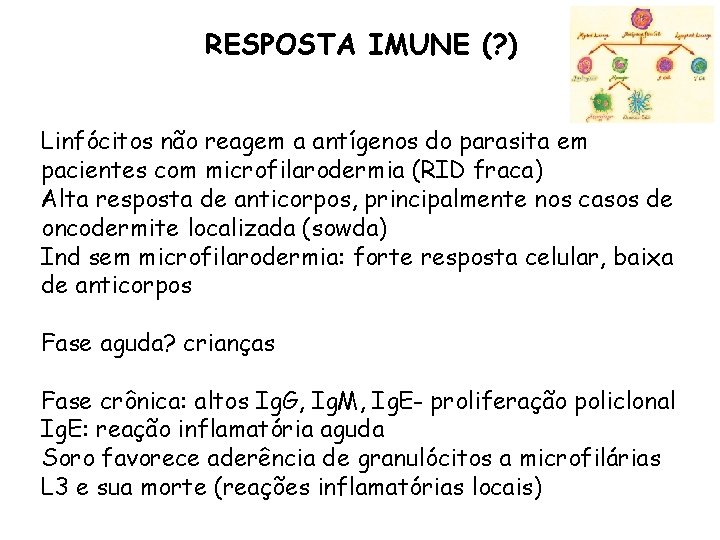 RESPOSTA IMUNE (? ) Linfócitos não reagem a antígenos do parasita em pacientes com