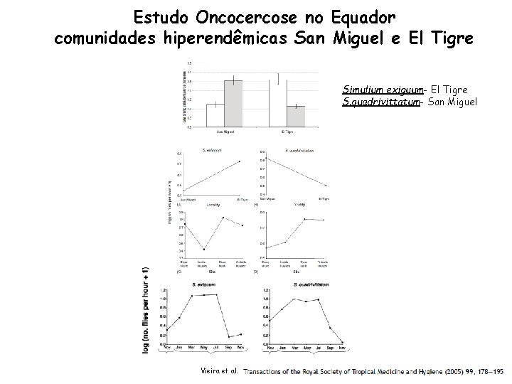 Estudo Oncocercose no Equador comunidades hiperendêmicas San Miguel e El Tigre Simulium exiguum- El