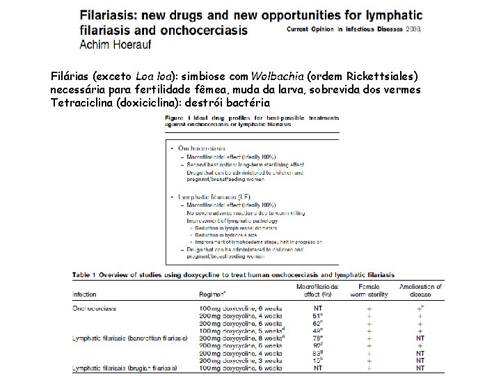 Filárias (exceto Loa loa): simbiose com. Wolbachia (ordem Rickettsiales) necessária para fertilidade fêmea, muda