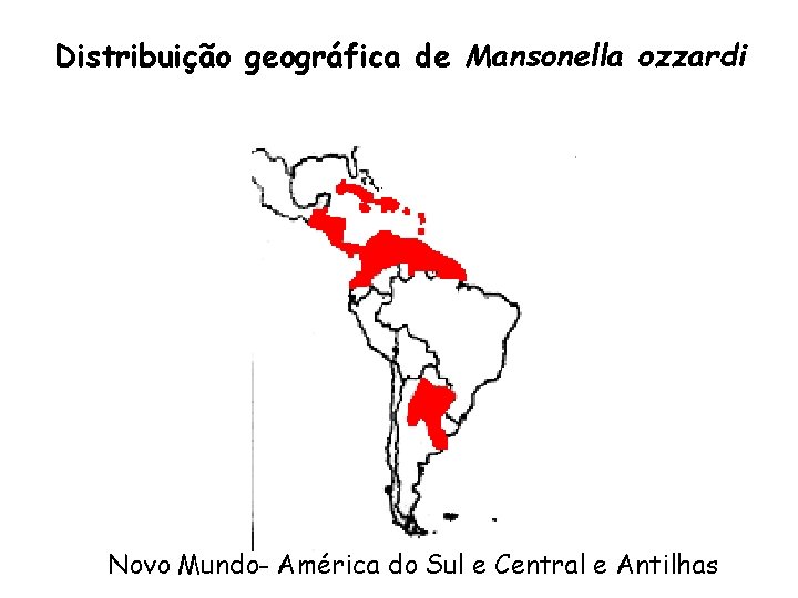Distribuição geográfica de Mansonella ozzardi Novo Mundo- América do Sul e Central e Antilhas
