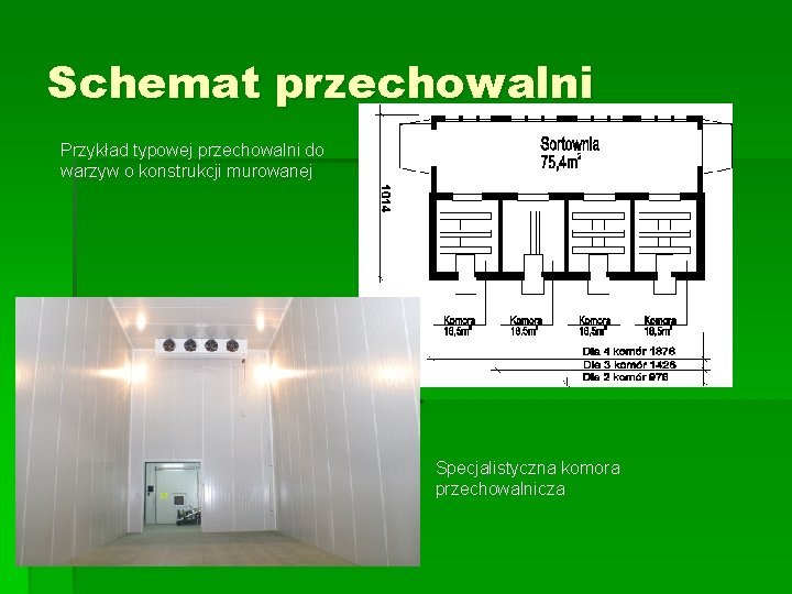 Schemat przechowalni Przykład typowej przechowalni do warzyw o konstrukcji murowanej Specjalistyczna komora przechowalnicza 