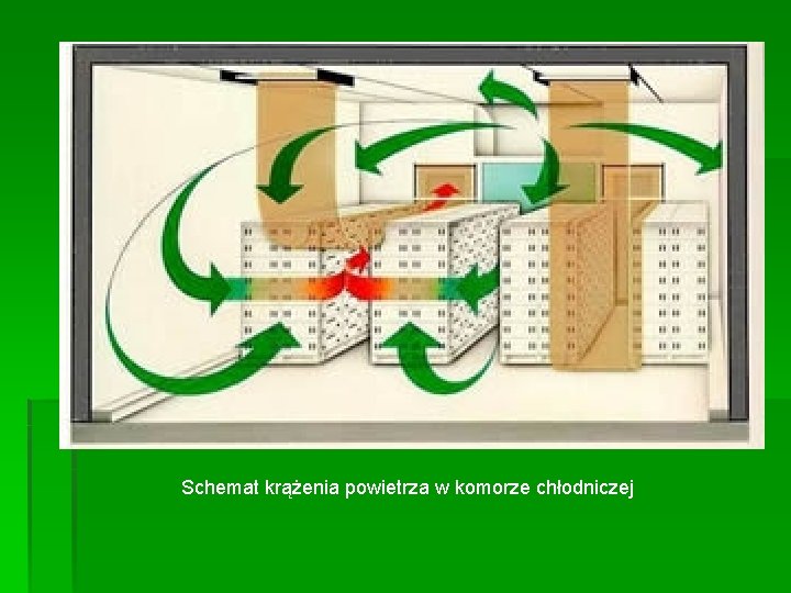 Schemat krążenia powietrza w komorze chłodniczej 